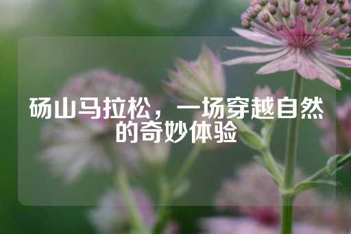 砀山马拉松，一场穿越自然的奇妙体验-第1张图片-皇冠信用盘出租