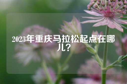 2023年重庆马拉松起点在哪儿？