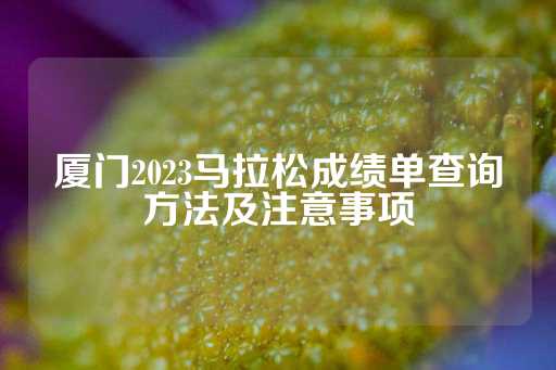 厦门2023马拉松成绩单查询方法及注意事项-第1张图片-皇冠信用盘出租