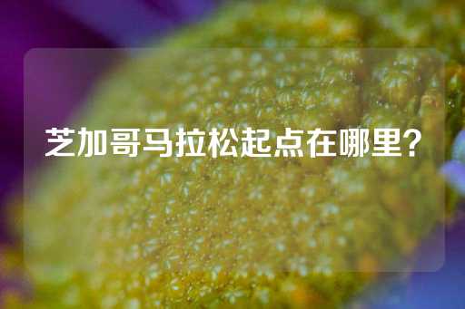 芝加哥马拉松起点在哪里？-第1张图片-皇冠信用盘出租