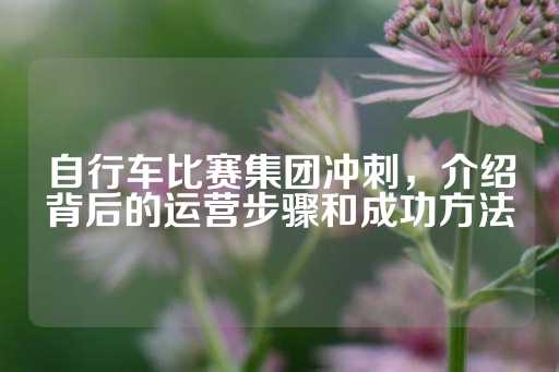 自行车比赛集团冲刺，介绍背后的运营步骤和成功方法-第1张图片-皇冠信用盘出租