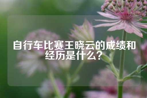 自行车比赛王晓云的成绩和经历是什么？