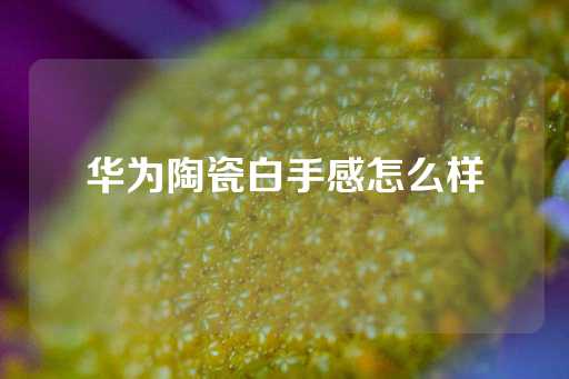 华为陶瓷白手感怎么样-第1张图片-皇冠信用盘出租