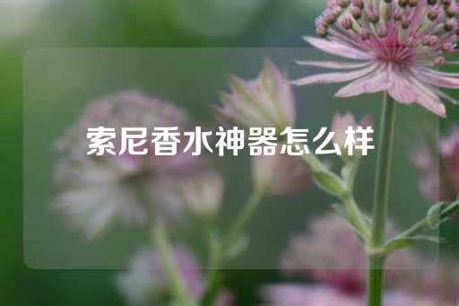 索尼香水神器怎么样