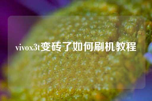 vivox3t变砖了如何刷机教程-第1张图片-皇冠信用盘出租