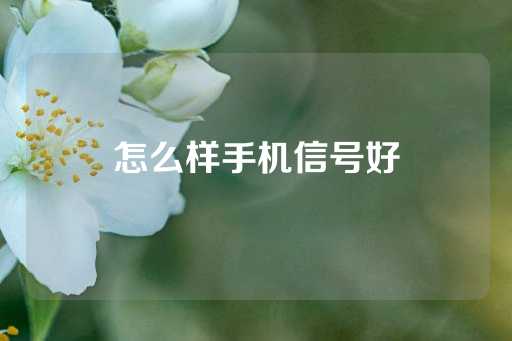 怎么样手机信号好