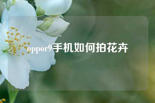 oppor9手机如何拍花卉-第1张图片-皇冠信用盘出租