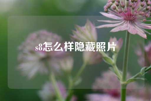 s8怎么样隐藏照片-第1张图片-皇冠信用盘出租